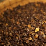 今年の新蕎麦情報！